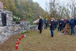 kravljak obljetnica 5