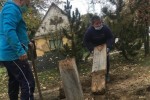 U OŠ Vladimir Nazor u Novoj Bukovici organizirana je volonterska akcija „Operacija Park – moguća misija“ 3 nb2