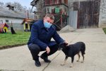 Grad Virovitica donirao hranu za napuštene pse: Nema grada u Hrvatskoj u kojem nije udomljen pas iz virovitičkog Skloništa 1 20201218 120924