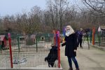 Grad Virovitica donirao hranu za napuštene pse: Nema grada u Hrvatskoj u kojem nije udomljen pas iz virovitičkog Skloništa 2 20201218 120947