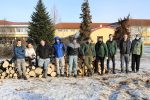 Šumari u akciji: Od trupaca crvenog hrasta postavit će nove klupe u školskom parku, a na mjestu starog drveća, posadit će nova 2 sumari