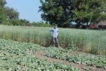 U Starom Gracu Marinko Petrović na ekološki način uzgaja bilje kao bazu za vrhunske prehrambene, ljekovite i kozmetičke proizvode 3 bilje zdravo 3