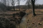 Uređuje se vodotok Ođenice uz državnu cestu D-5 kod Virovitičkih ribnjaka 2 IMG 20210311 121204