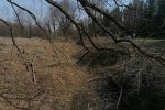 Uređuje se vodotok Ođenice uz državnu cestu D-5 kod Virovitičkih ribnjaka 3 IMG 20210311 121214