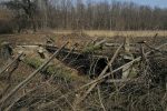 Uređuje se vodotok Ođenice uz državnu cestu D-5 kod Virovitičkih ribnjaka 6 IMG 20210311 121640