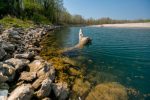 Svjetski dan voda obilježava se dana 22. ožujka s ciljem podizanja svijesti javnosti i skretanja globalne pozornosti na značaj i važnost vode te promicanja održivog korištenja vodnih resursa 3 MT8 0345
