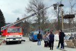 Čini se da rode „doista nose djecu“, jer rode su u Orahovici savile svoje gnijezdo na dimnjaku bivšeg rodilišta... 11 rode orah 2