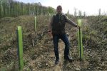 Šumarija Virovitica pomlađuje Virovitičku Bilogoru: Svoj stoljetni dom dobiva 26.000 sadnica hrasta kitnjaka i lužnjaka 2 viroviticka bilogora3