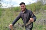Šumarija Virovitica pomlađuje Virovitičku Bilogoru: Svoj stoljetni dom dobiva 26.000 sadnica hrasta kitnjaka i lužnjaka 5 viroviticka bilogora6 2