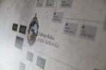 Kontinentalni turizam u Virovitičko-podravskoj županiji: Novi život starih dvoraca ili kako će turisti uz odmor dobiti i priču koju će ponijeti kućama 51 IMG 4702