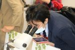 IMG 4859