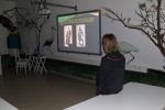 IMG 5385