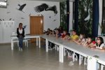 IMG 53871