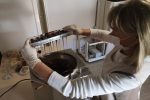 Izradu domaćih čokolada i pralina pretvorila u posao: Jasmina Petrović i njena „Choco&pralinea“ osvajaju nepca 7 cokolaterija7
