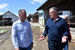 OPG Major: Cijela obitelj brine se za gotovo 600 životinja i obrađuju više od 200 hektara zemlje 2 opg major3