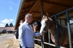 OPG Major: Cijela obitelj brine se za gotovo 600 životinja i obrađuju više od 200 hektara zemlje 4 opg major5