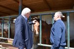 OPG Major: Cijela obitelj brine se za gotovo 600 životinja i obrađuju više od 200 hektara zemlje 5 opg major6