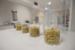 Održana završna konferencija projekta “Tehnološko-inovacijski centar Virovitica” jednog do najznačajnijih razvojnih projekata Virovitičko-podravske županije 47 tic unutra 38