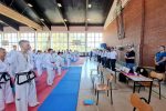 U Slatini održano otvoreno prvenstvo Hrvatske u taekwondou na kojemu je sudjelovalo stotinjak natjecatelja iz cijele Hrvatske 1 20210626 095716 2 Custom