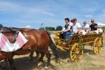 Fotogalerija: Povodom Dana općine u Čađavici održana 14. međužupanijska izložba hladnokrvnih konja i revija zaprega 43 206836221 4747837685232184 1950173921450569910 n