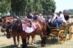 Fotogalerija: Povodom Dana općine u Čađavici održana 14. međužupanijska izložba hladnokrvnih konja i revija zaprega 33 IMG 0198