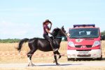Fotogalerija: Povodom Dana općine u Čađavici održana 14. međužupanijska izložba hladnokrvnih konja i revija zaprega 32 IMG 0204