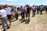 Fotogalerija: Povodom Dana općine u Čađavici održana 14. međužupanijska izložba hladnokrvnih konja i revija zaprega 31 IMG 0260