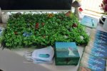 Fotogalerija: Posjetiteljski centar Dravska priča predstavljen na sajmu Week and Slavonija 4 IMG 6095