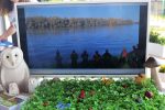 Fotogalerija: Posjetiteljski centar Dravska priča predstavljen na sajmu Week and Slavonija 20 IMG 6125