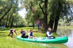 IMG 6886