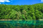 U prvih pet mjeseci ove godine, Park prirode Papuk je vidjelo 20.939 posjetitelja ili 38,23 posto više nego rekordne 2019. 3 PDC 4403