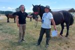 Fotogalerija: Povodom Dana općine u Čađavici održana 14. međužupanijska izložba hladnokrvnih konja i revija zaprega 6 Petrovo Čađavica 27.6.2021 106