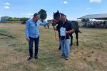 Fotogalerija: Povodom Dana općine u Čađavici održana 14. međužupanijska izložba hladnokrvnih konja i revija zaprega 4 Petrovo Čađavica 27.6.2021 127