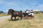Fotogalerija: Povodom Dana općine u Čađavici održana 14. međužupanijska izložba hladnokrvnih konja i revija zaprega 3 Petrovo Čađavica 27.6.2021 130