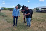 Fotogalerija: Povodom Dana općine u Čađavici održana 14. međužupanijska izložba hladnokrvnih konja i revija zaprega 19 Petrovo Čađavica 27.6.2021 50