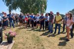 Fotogalerija: Povodom Dana općine u Čađavici održana 14. međužupanijska izložba hladnokrvnih konja i revija zaprega 13 Petrovo Čađavica 27.6.2021 73