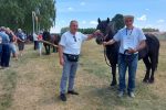 Fotogalerija: Povodom Dana općine u Čađavici održana 14. međužupanijska izložba hladnokrvnih konja i revija zaprega 10 Petrovo Čađavica 27.6.2021 86
