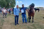 Fotogalerija: Povodom Dana općine u Čađavici održana 14. međužupanijska izložba hladnokrvnih konja i revija zaprega 9 Petrovo Čađavica 27.6.2021 90