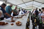 Sajam vina i kulena: PP Orahovica ima najbolji rose i frankovku, Feravino bijelo vino, a OPG Marina Turalija šampion je kulena, Kristina Sabo je "vinska kraljica" 16 orah4