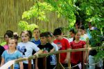 Fotogalerija: Učenici i učitelji iz Suhopolja i Cabune posjetili Dravsku priču 10 suhopolje i cabuna dravska 10