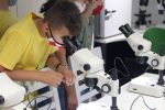Fotogalerija: Učenici i učitelji iz Suhopolja i Cabune posjetili Dravsku priču 20 suhopolje i cabuna dravska 20