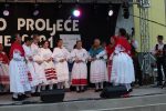 216789009 4490025521030299 7263436646566722974 n
