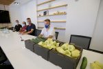 IMG 4625