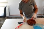Oni su kandidat Virovitičko-podravske županije za „Zlata vrijedan“: Upoznajte OPG Alana Turkalja iz Čačinaca koji proizvode ekološke lješnjake 17 PDC 7673