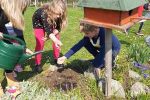 etwinning4