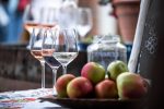 Slavonija i Podravina wine not!?: Rujan u Slavoniji i Podravini bit će u znaku vinskog festivala kroz spoj prirode, kulture i eno-gastronomskih senzacija 5 IMG 9620