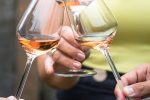 Slavonija i Podravina wine not!?: Rujan u Slavoniji i Podravini bit će u znaku vinskog festivala kroz spoj prirode, kulture i eno-gastronomskih senzacija 22 IMG 9761