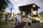 Fotogalerija: Svečana misa i procesija ulicama Virovitice povodom blagdana sv. Roka 3 MG 6990