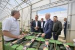 U Hrvatskoj raste proizvodnja krastavaca, a na vrhu TOP 10 uzgajivača krastavaca je Brana d.o.o. Virovitica, dok je Ana-Marija Čajkulić iz Sedlarice na trećem mjestu 4 brana1