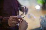 Slavonija i Podravina wine not?! : Vino kao inspiracija za novo putovanje u Podravinu i Slavoniju 4 1c